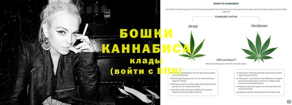 эйфоретик Дмитровск