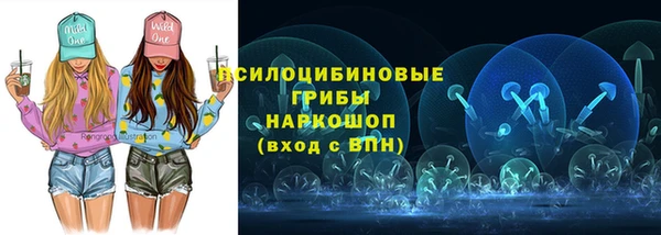 эйфоретик Дмитриев